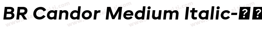 BR Candor Medium Italic字体转换